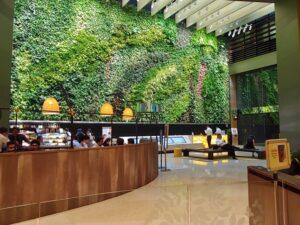 RR 20191002_155311_HDR