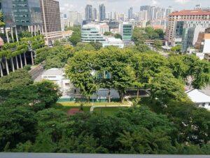 RR 20181011_103139_HDR