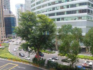 RR 20191203_114230_HDR