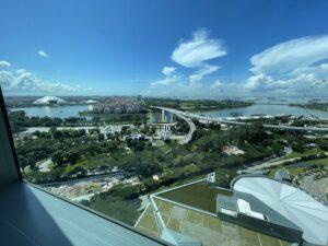 RR IMG_3785