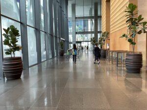 RR IMG_4322
