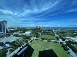 RR IMG_6611