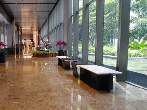 RR 20190621_111259_HDR