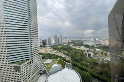 IMG_5800 (Medium)