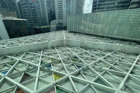 IMG_6875 (Medium)